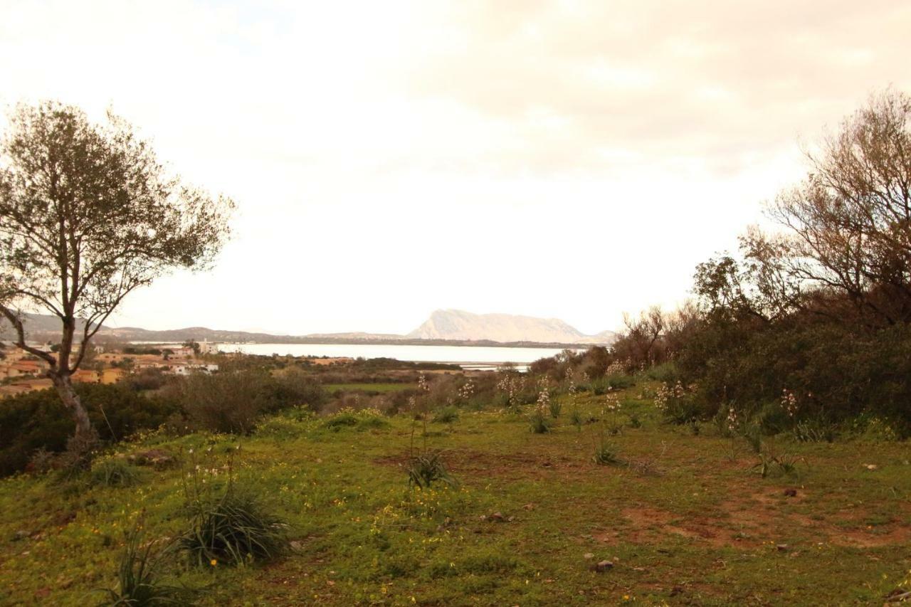 La Funtana Apartment San Teodoro (Sardinia)