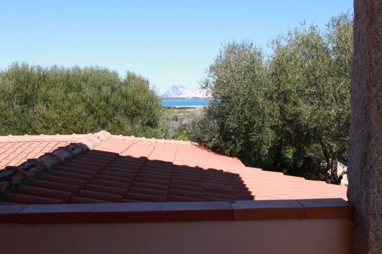 La Funtana San Teodoro (Sardinia)